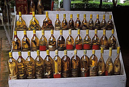 瓶装,蛇,葡萄酒,销售,吃,隧道,旅游,复杂,靠近,城市,西贡,越南,东南亚